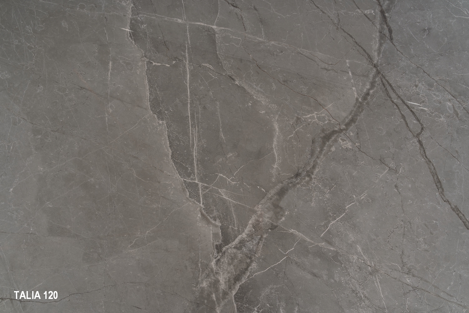 TAL - Image 12
