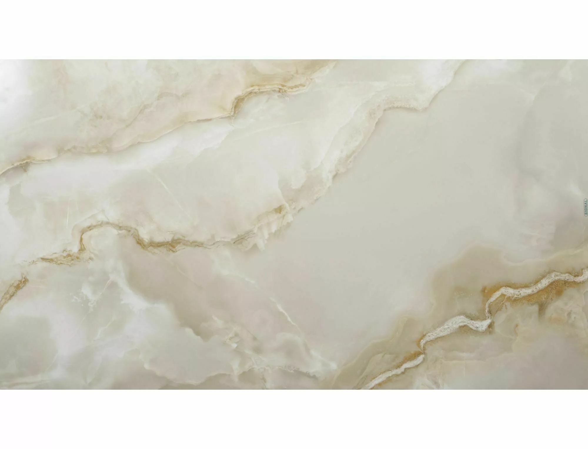 SAL-C - Image 7