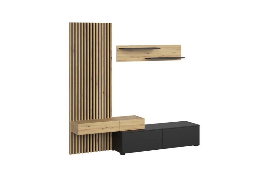 CAM-RTV 210 - Image 2